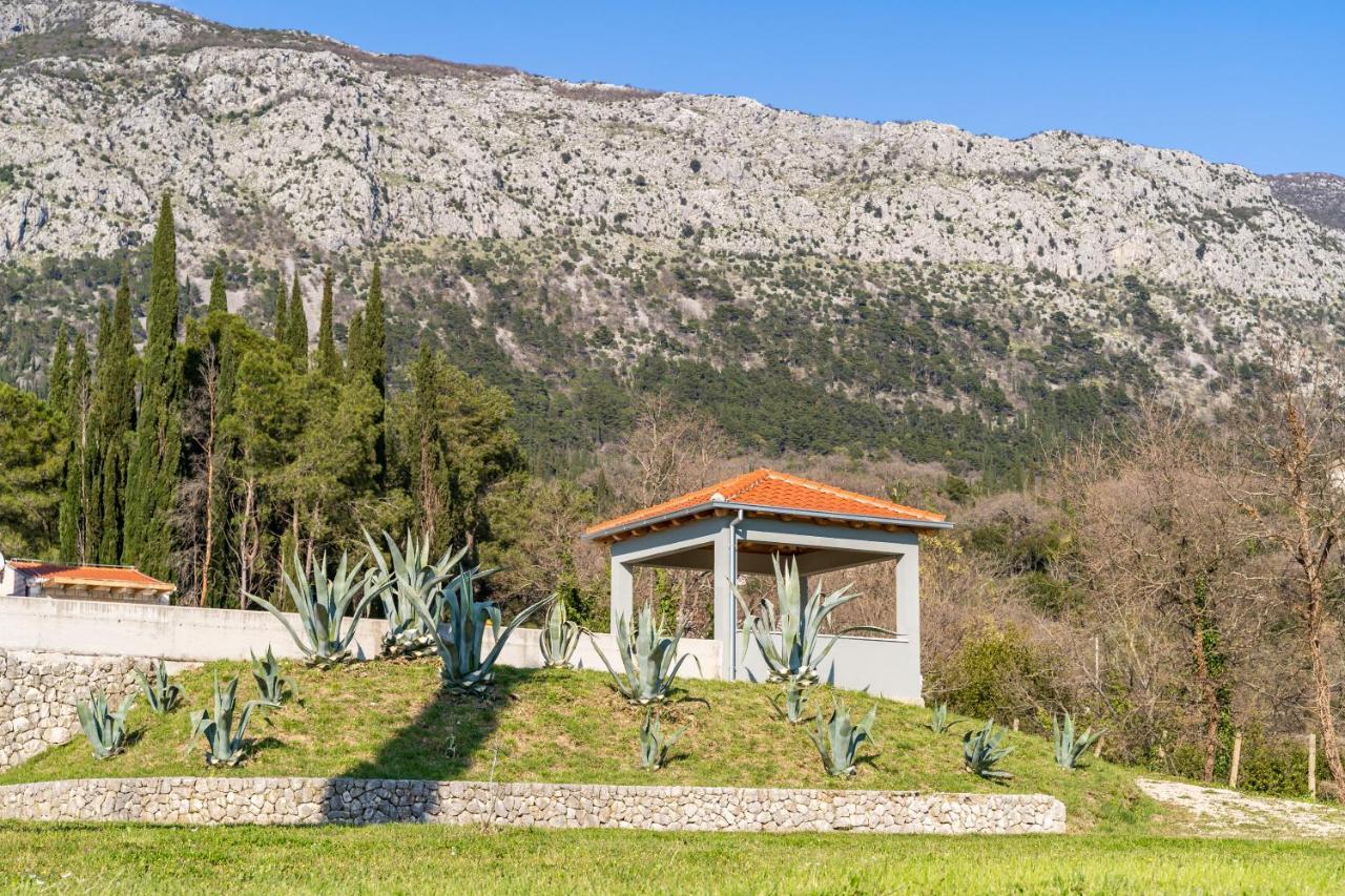 Villa Agave Gruda Ngoại thất bức ảnh