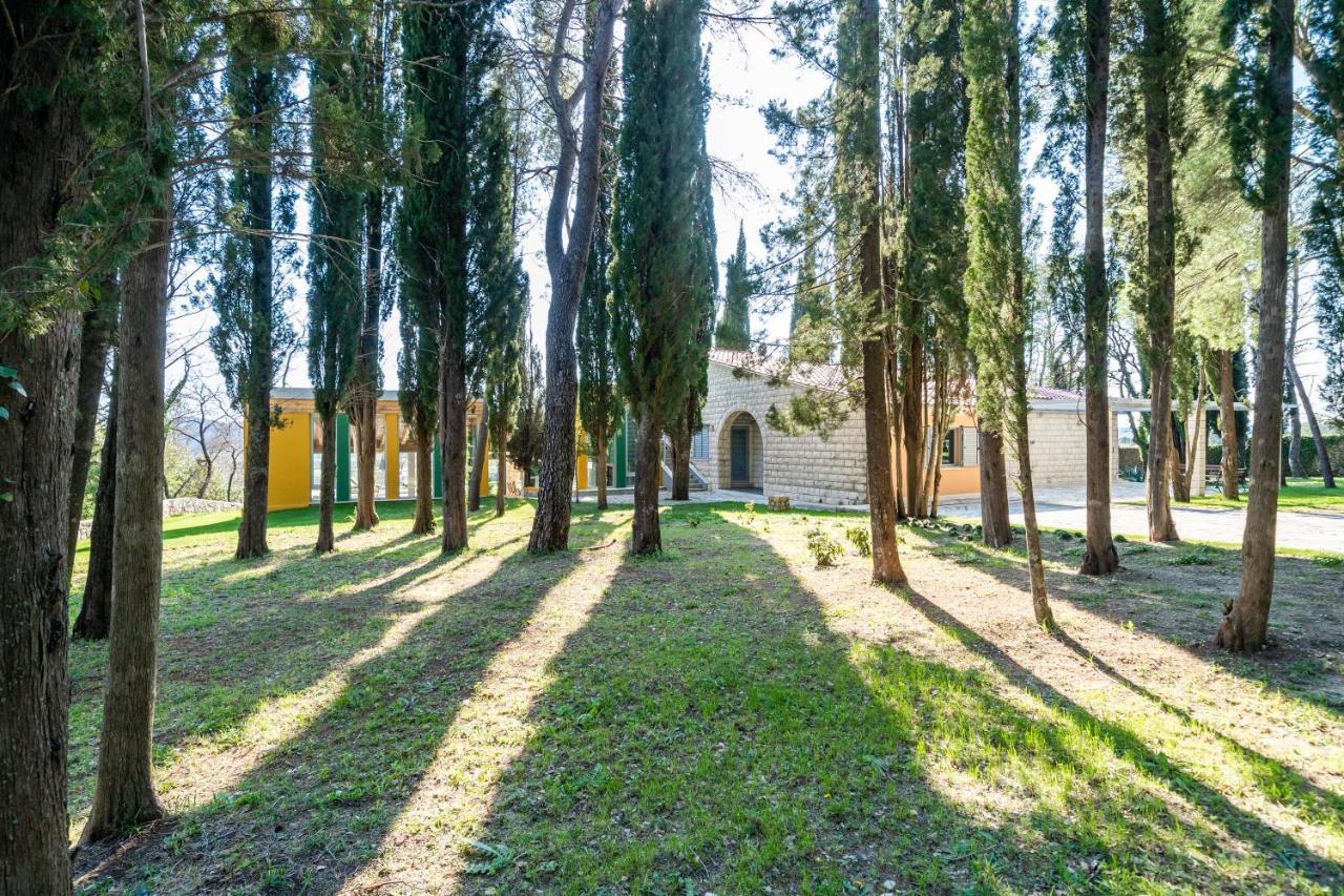 Villa Agave Gruda Ngoại thất bức ảnh