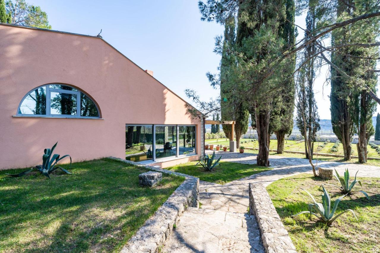 Villa Agave Gruda Ngoại thất bức ảnh